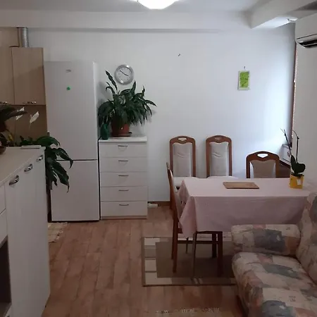 Apartment Skofije Ob Parenzani Spodnje Skofije