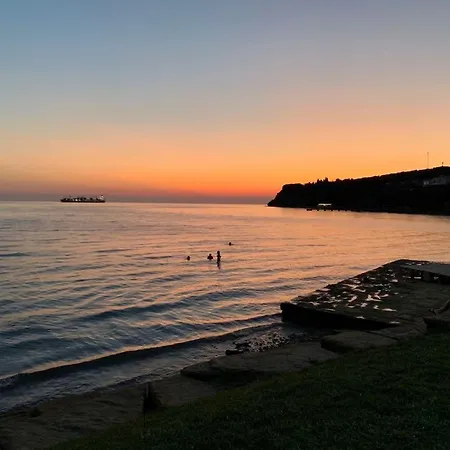 Skofije Ob Parenzani * Spodnje Skofije