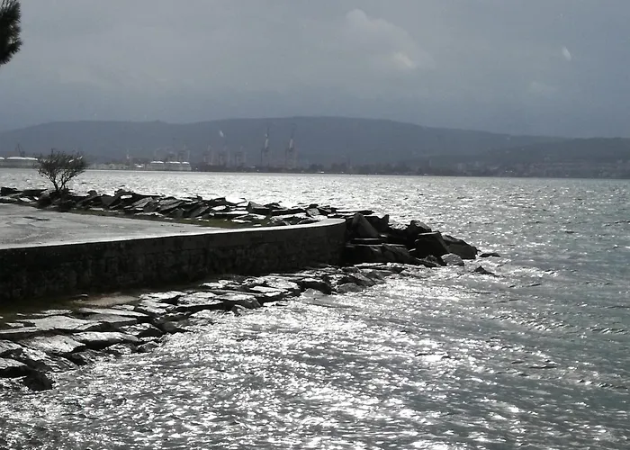 Appartamento Skofije Ob Parenzani