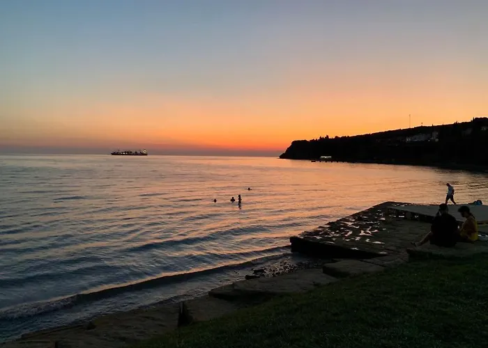 Skofije Ob Parenzani * Spodnje Skofije